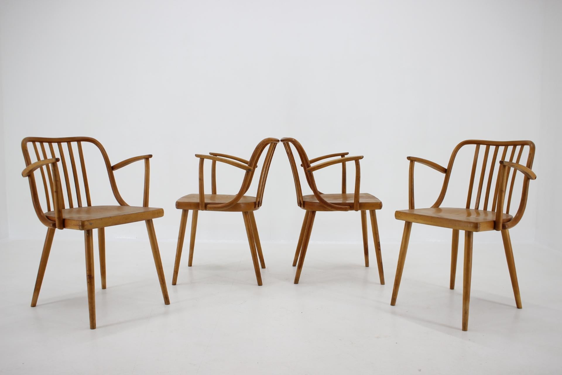 1960s Set of Four Antonin Suman Dining Chairs, Czechoslovakia 2