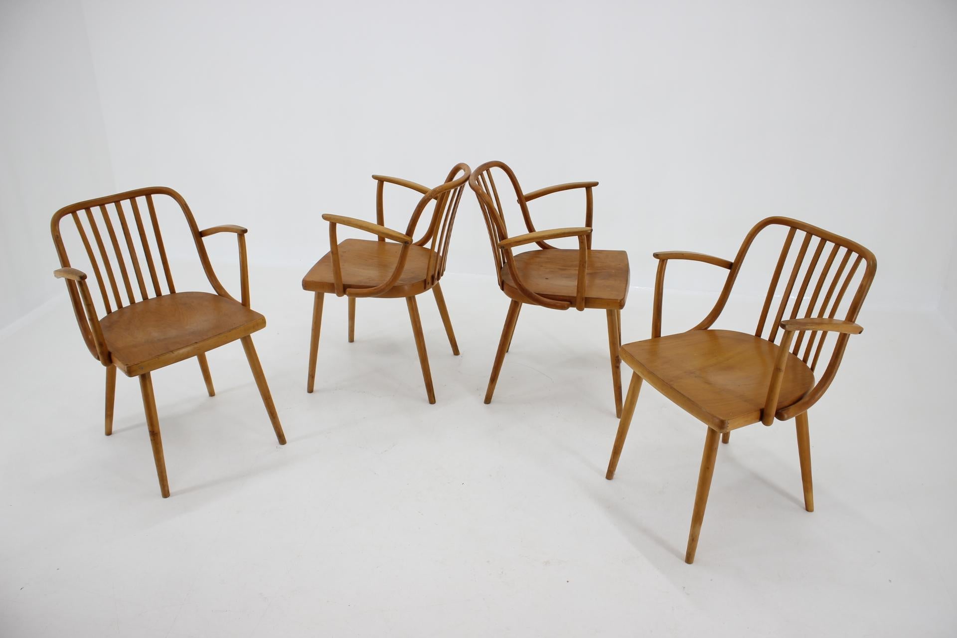 1960s Set of Four Antonin Suman Dining Chairs, Czechoslovakia 3