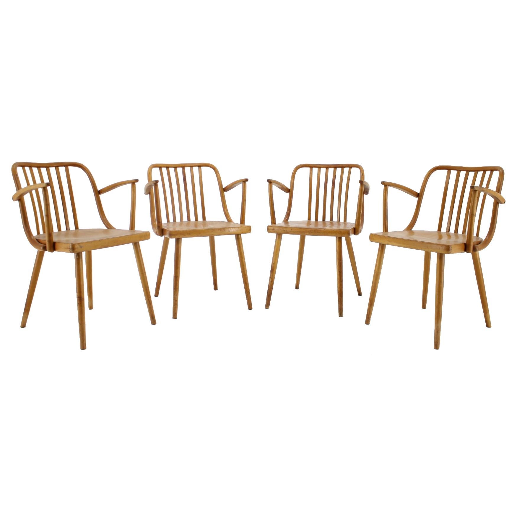 1960s Set of Four Antonin Suman Dining Chairs, Czechoslovakia