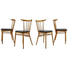 1960s Set of Four Tatra Beech Dining Chairs, Czechoslovakia