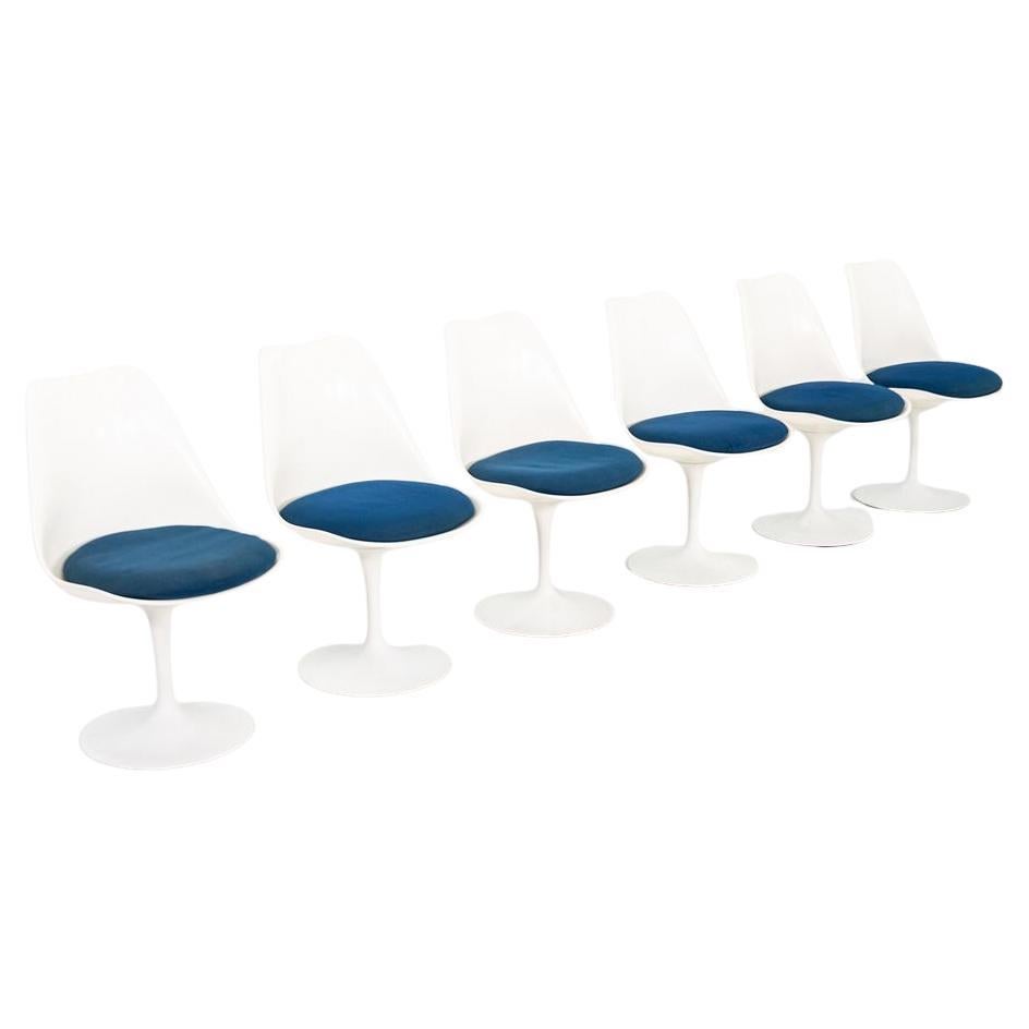Set di sei sedie da pranzo Eero Saarinen per Knoll Tulip degli anni 
60 con pad blu in vendita
