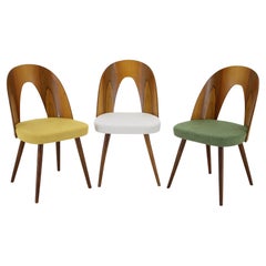 1960s Set of Three Antonin Suman Chair in Walnut, Czechoslovakia