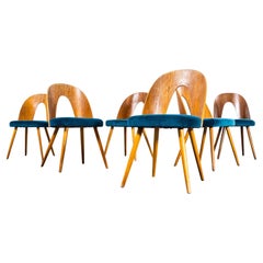 1960's Side Dining Chairs By Antonin Suman For Ton - Set Of Six