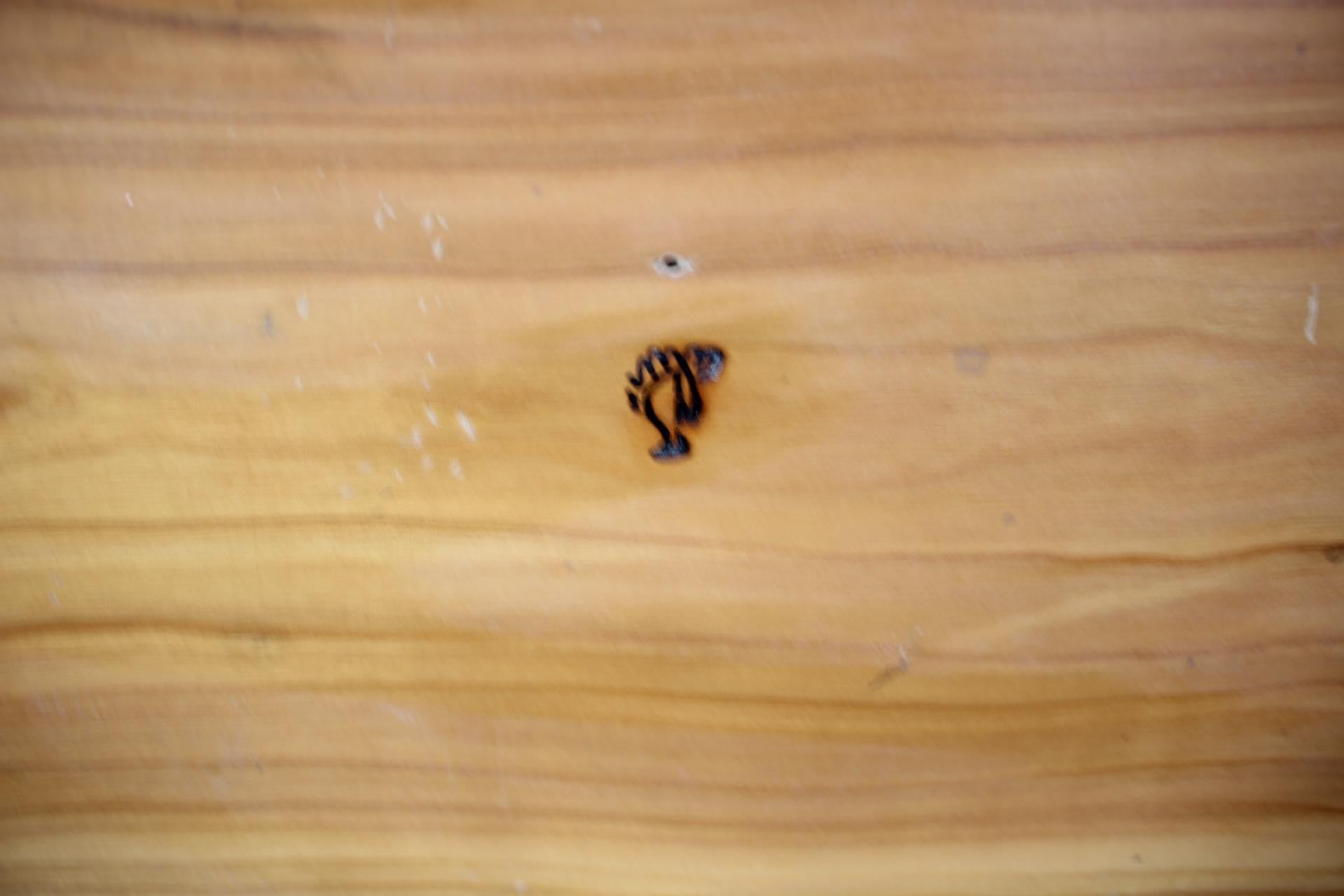 1960, Table d'appoint par Uluv, Tchécoslovaquie en vente 4