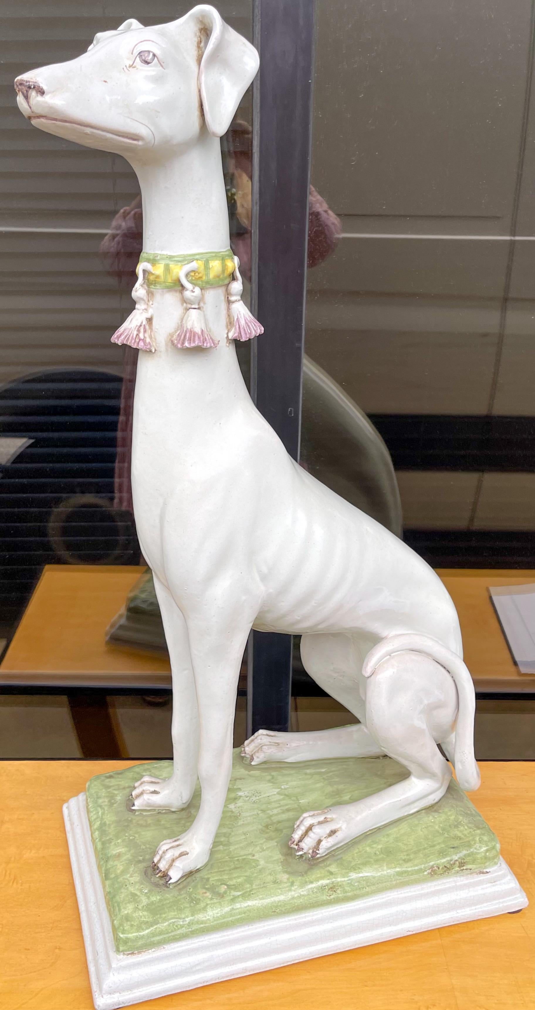 white whippet dog