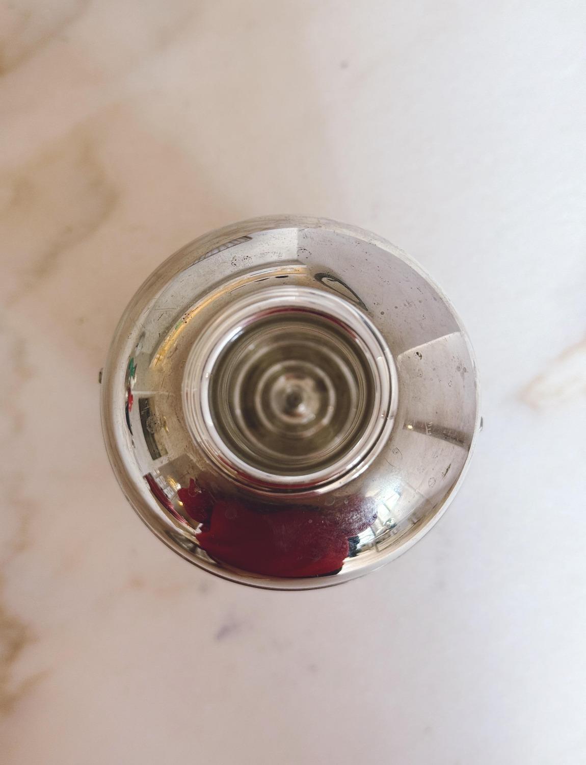 1960er Jahre Thermoskanne aus Silber und Tierhaut - Gucci zugeschrieben im Angebot 2