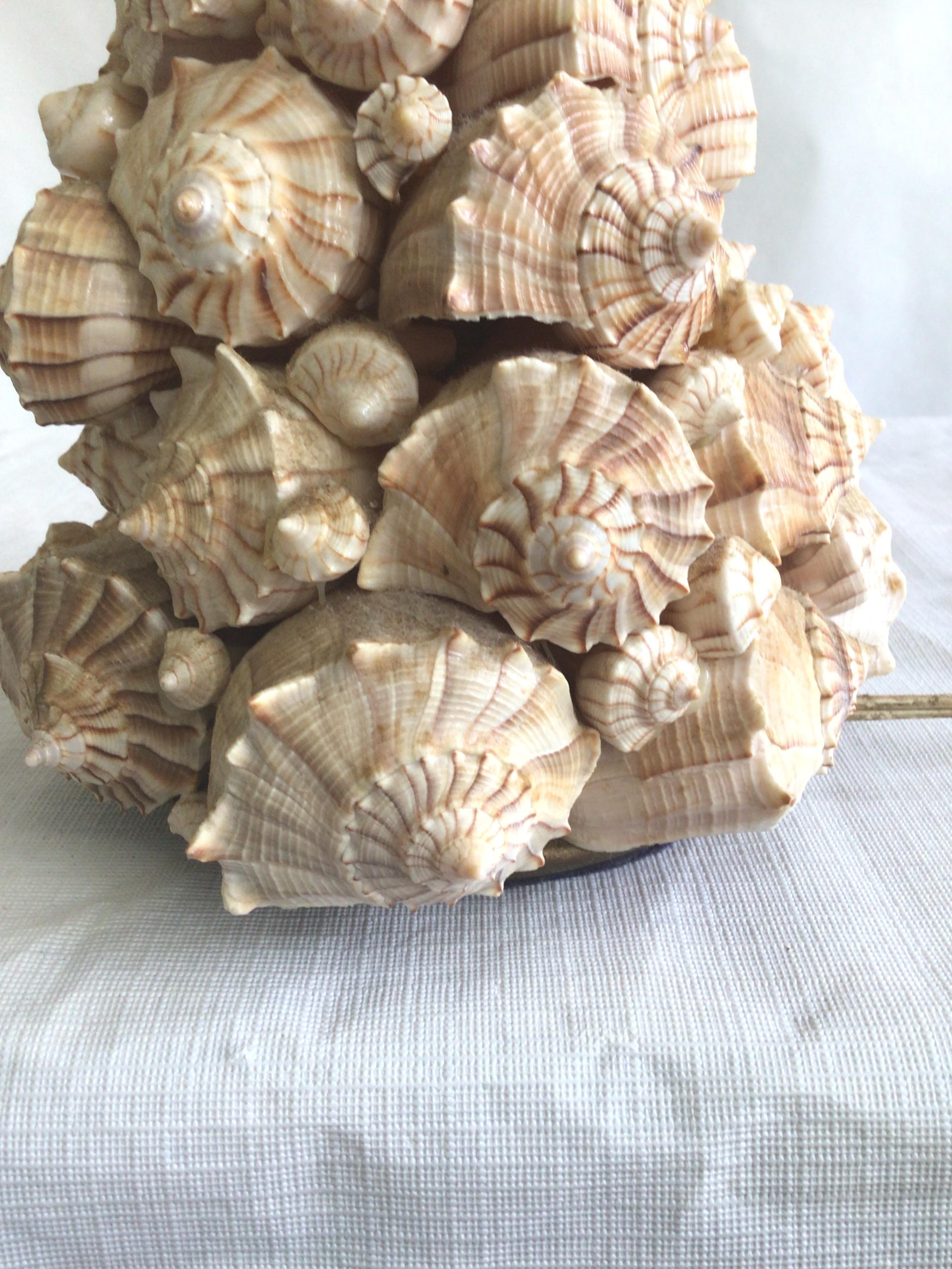 1960s Small Shell Table Lamp For Sale 1