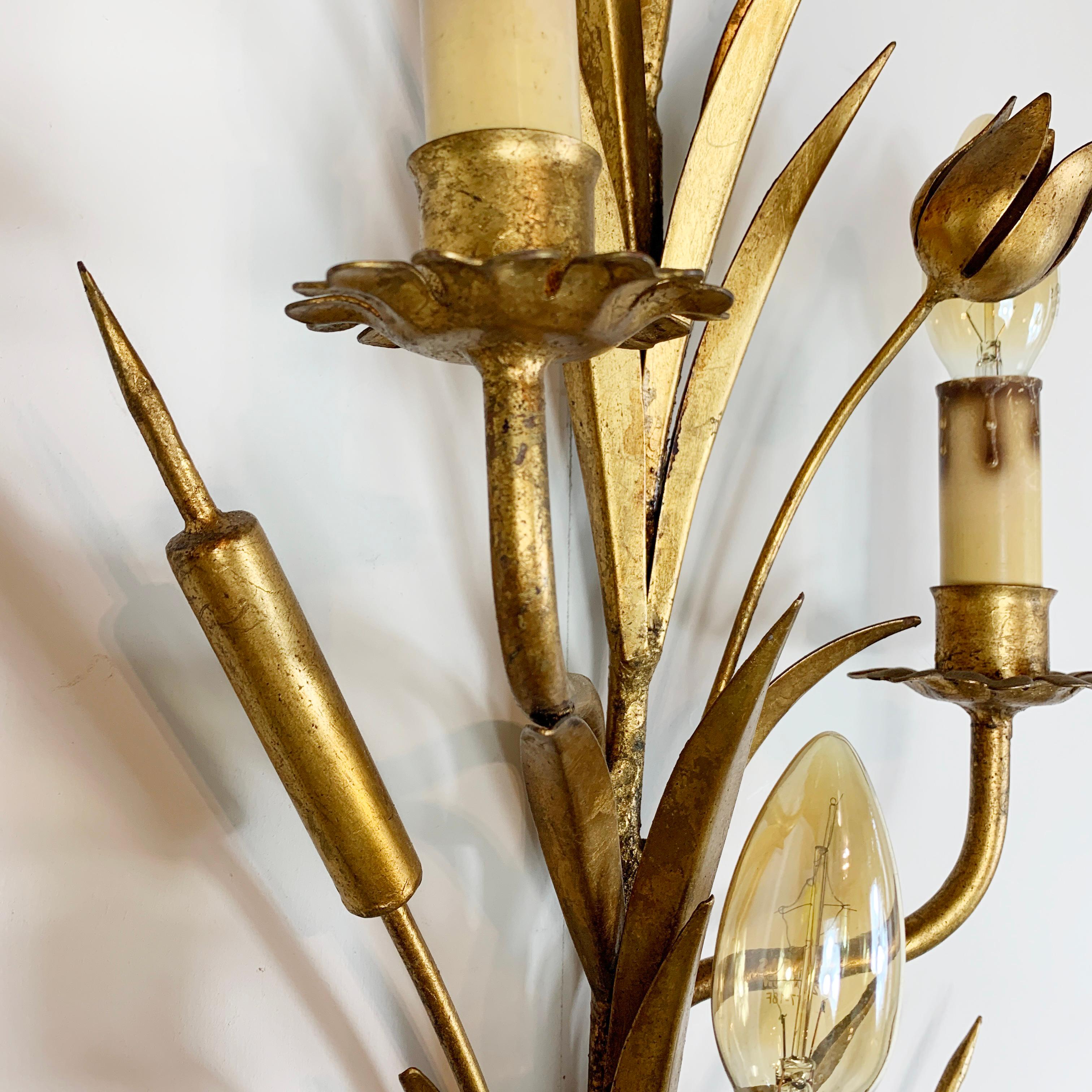 1960's Statement French Gold Bulrush Wall Sconce For Sale 3