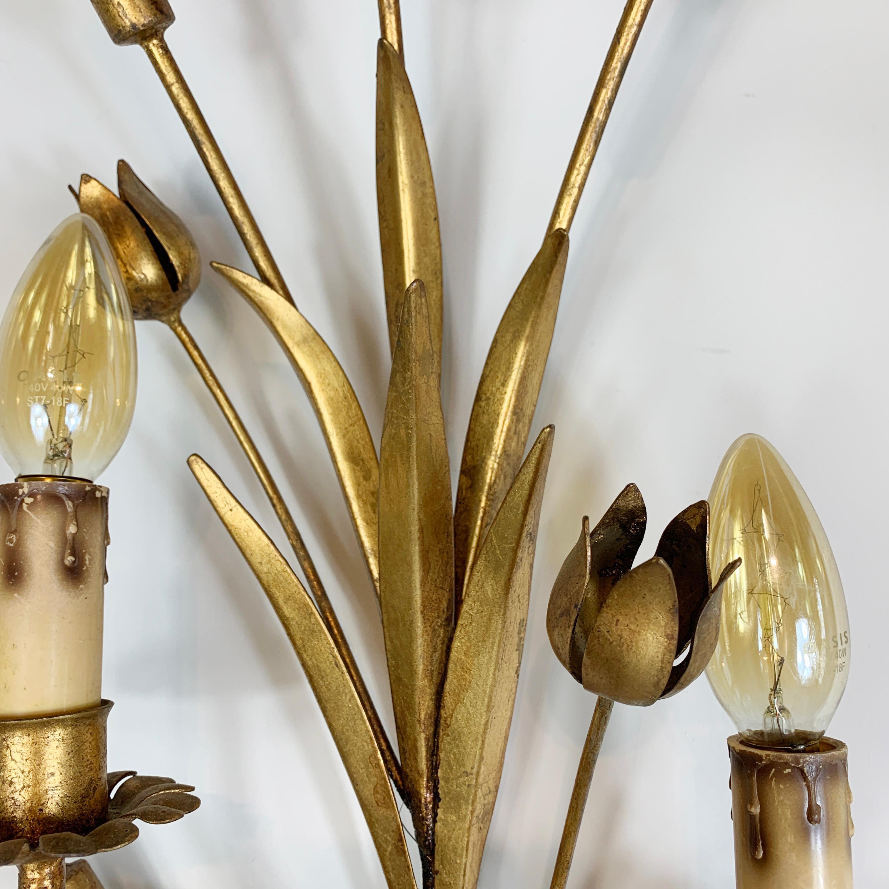 Mid-Century Modern 1960's Statement French Gold Bulrush Wall Sconce For Sale