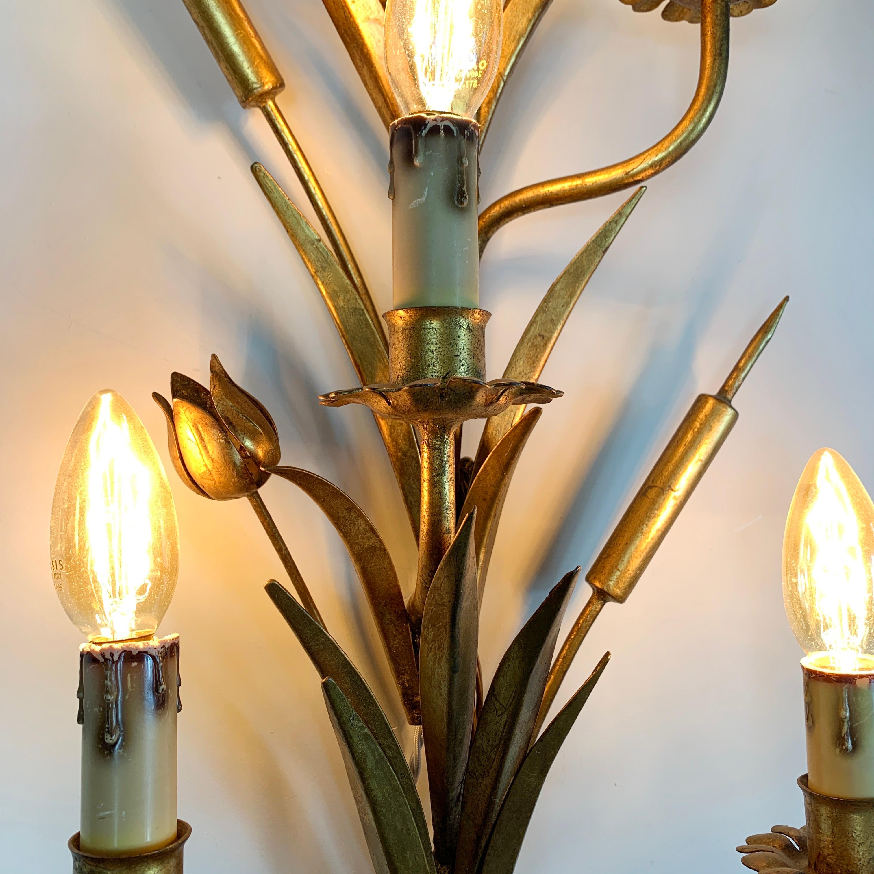 Hand-Crafted 1960's Statement French Gold Bulrush Wall Sconce For Sale