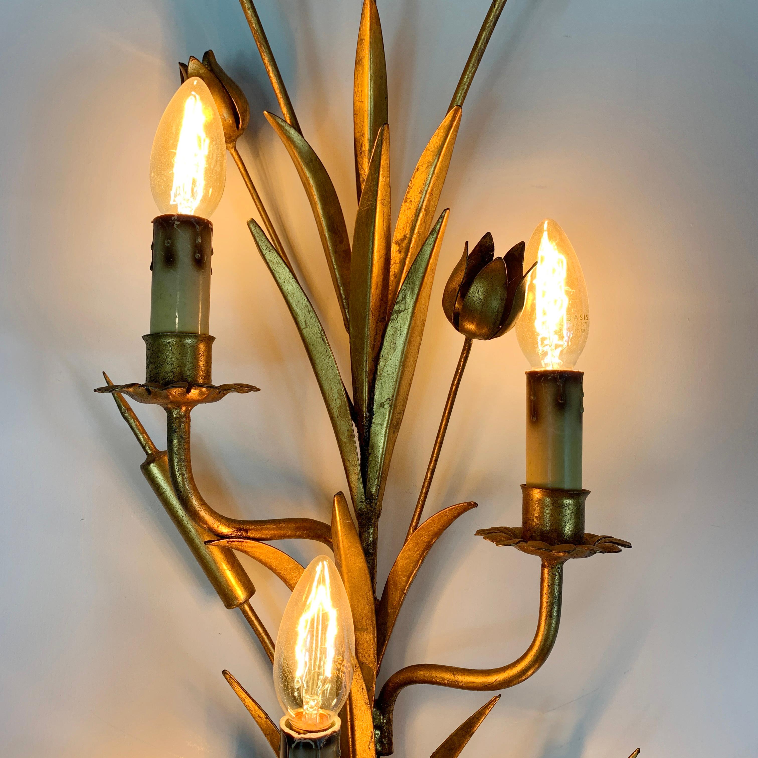 20th Century 1960's Statement French Gold Bulrush Wall Sconce For Sale