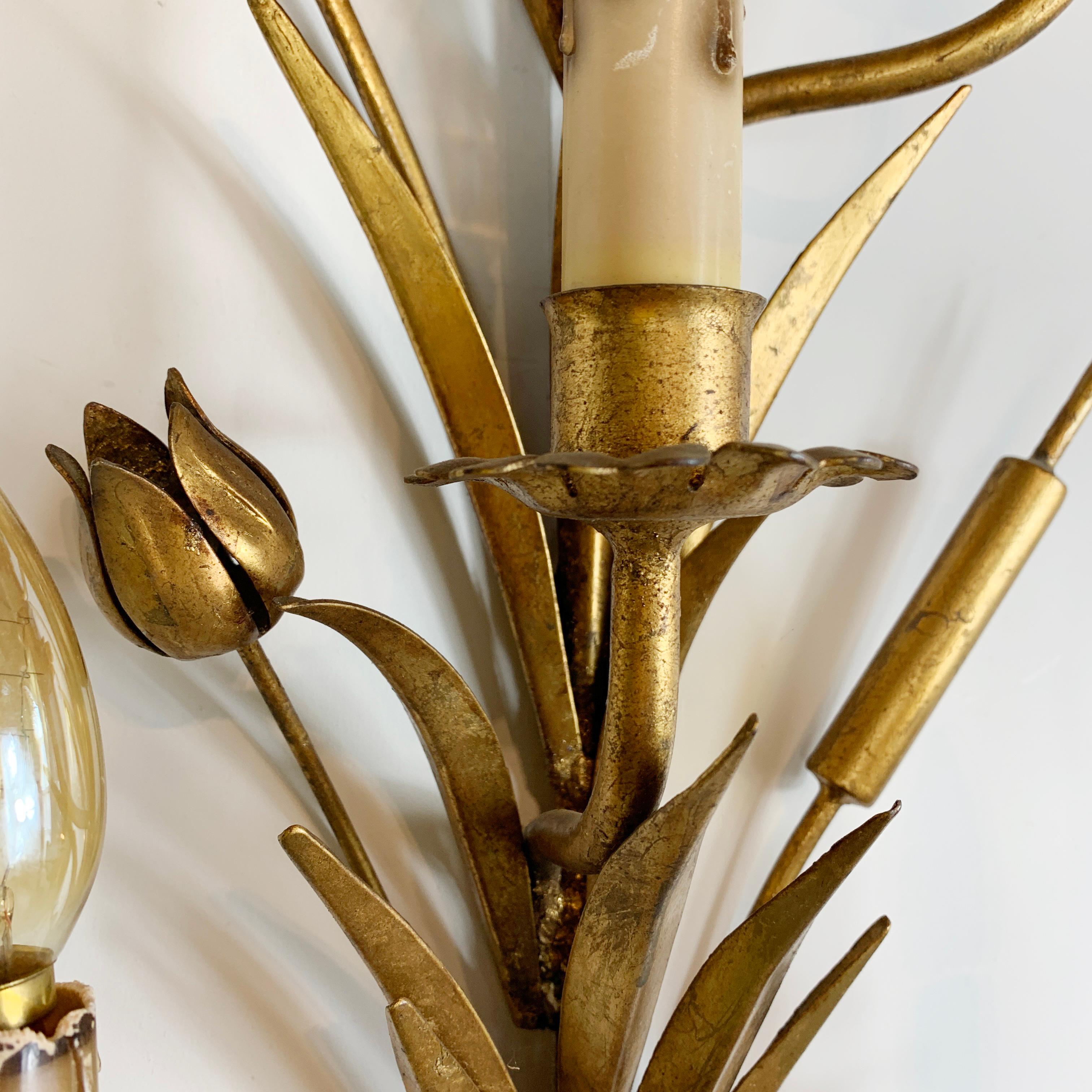 Metal 1960's Statement French Gold Bulrush Wall Sconce For Sale
