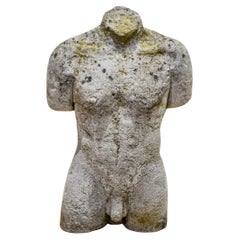 1960s Stone Italian Male Nude Torso Sculpture