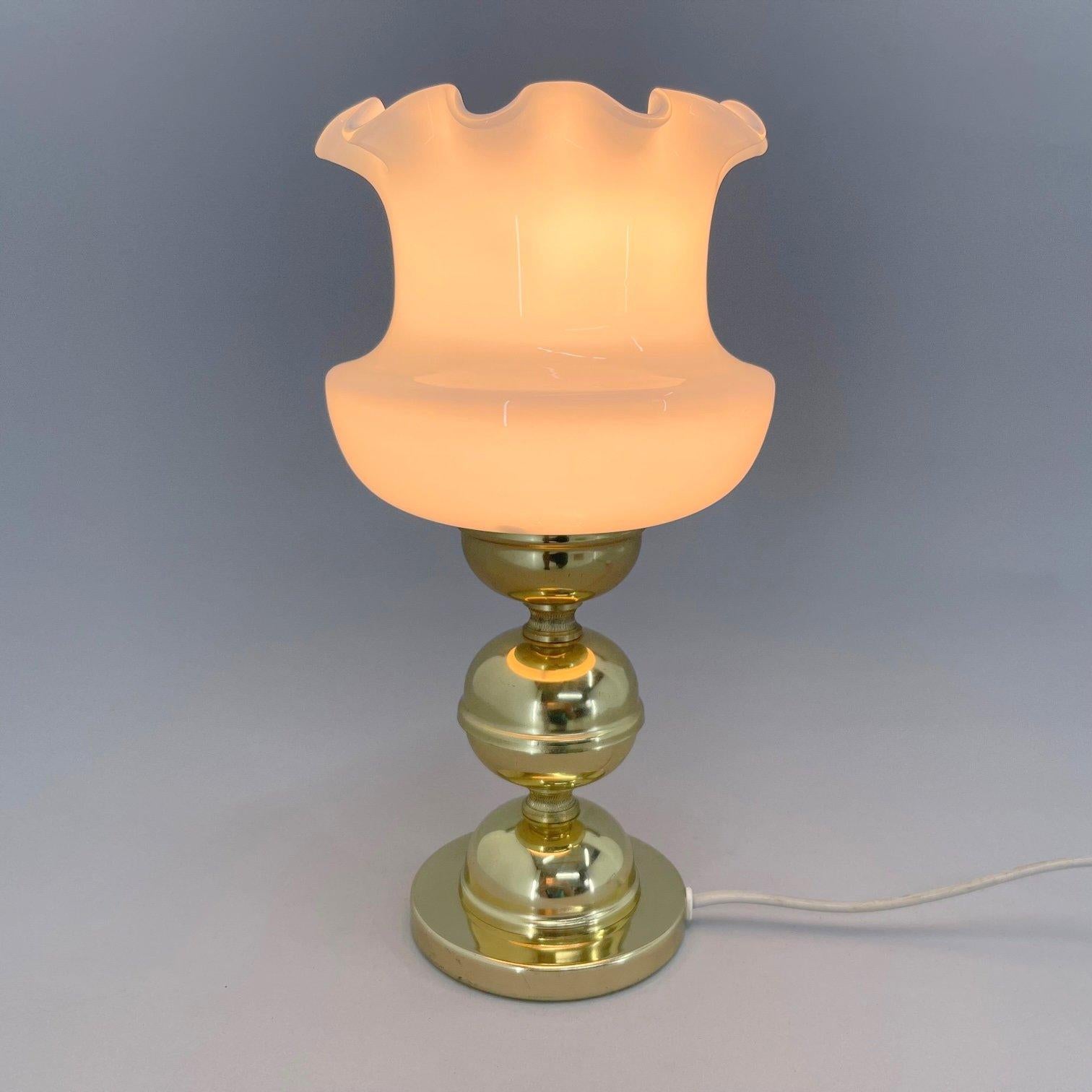 Mid-Century Modern 1960's Table Lamp by Kamenicky Senov, Czechoslovakia For Sale