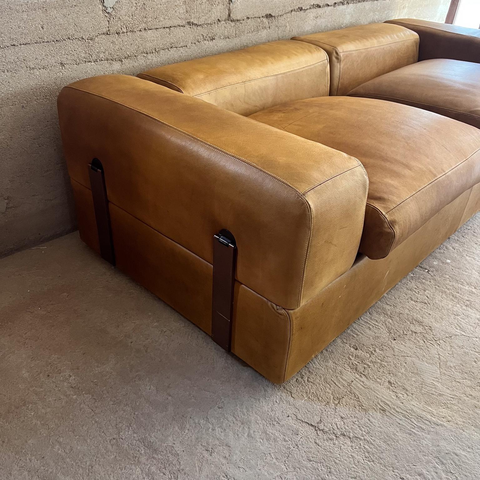 Zur Ansicht ein Sofa Modell 711 entworfen von Tito Agnoli für Cinova
Italien in den 1960er Jahren.
Das Sofa kann in eine Schlafcouch verwandelt werden. 
Braunes Leder (Original) mit Vintage-Patina.
Vintage-Zustand: Die Kissen sind bequem, das Leder