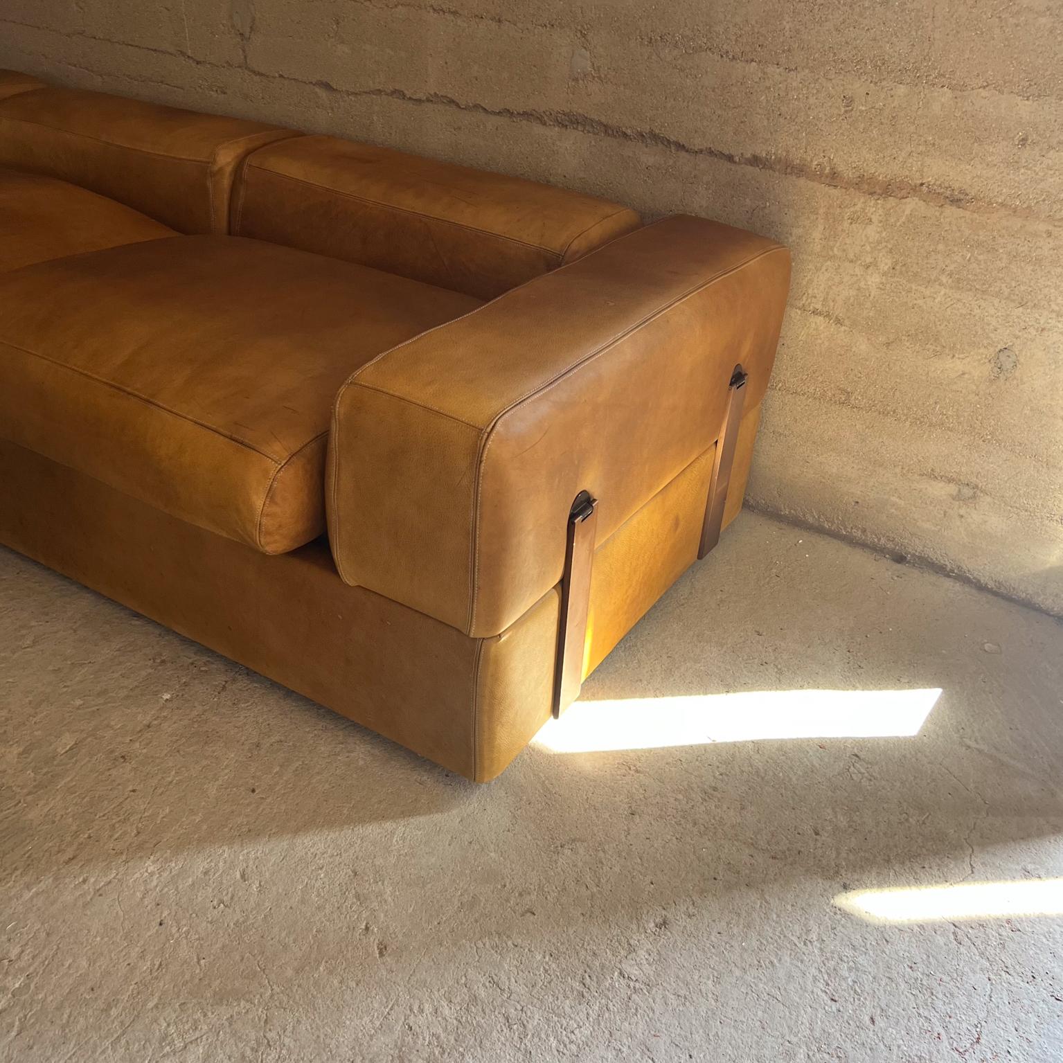 Tito Agnoli für Cinova  Leder-Tagesbett Sofa 711 – Italien 1960er Jahre (Moderne der Mitte des Jahrhunderts) im Angebot
