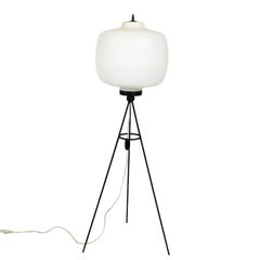 1960s Tripo Standing Lamp, Blackened Steel, White Opaline, Italy