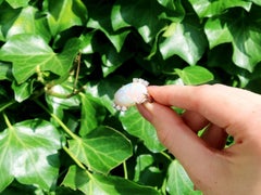 1960s Vintage 5.81 Carat Opal and Diamond Yellow Gold Cocktail Ring
