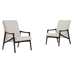 1960s Vintage Armchairs by Jiri Jiroutek, Pair