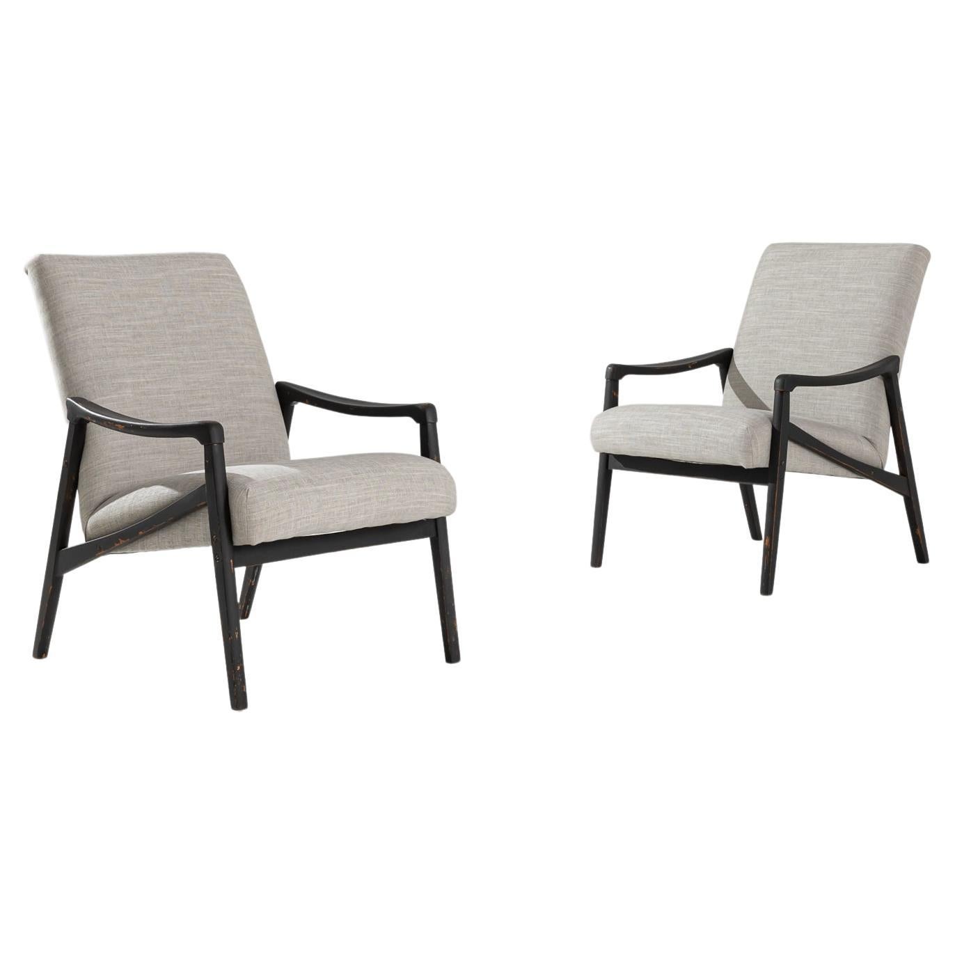 1960s Vintage Armchairs by Jiri Jiroutek, Pair