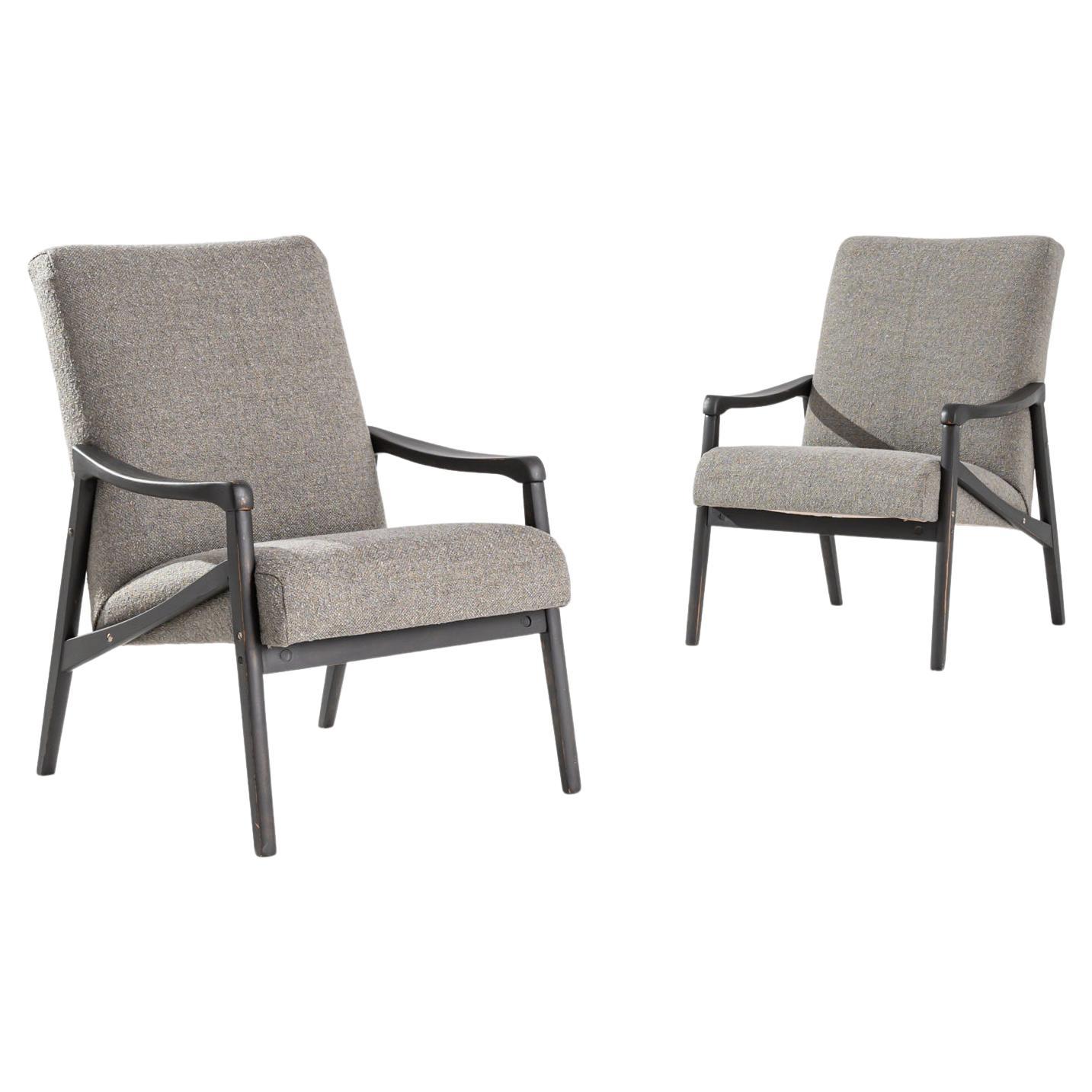 1960s Vintage Armchairs by Jiri Jiroutek, Pair