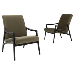 1960s Vintage Armchairs by Jiri Jiroutek, Pair