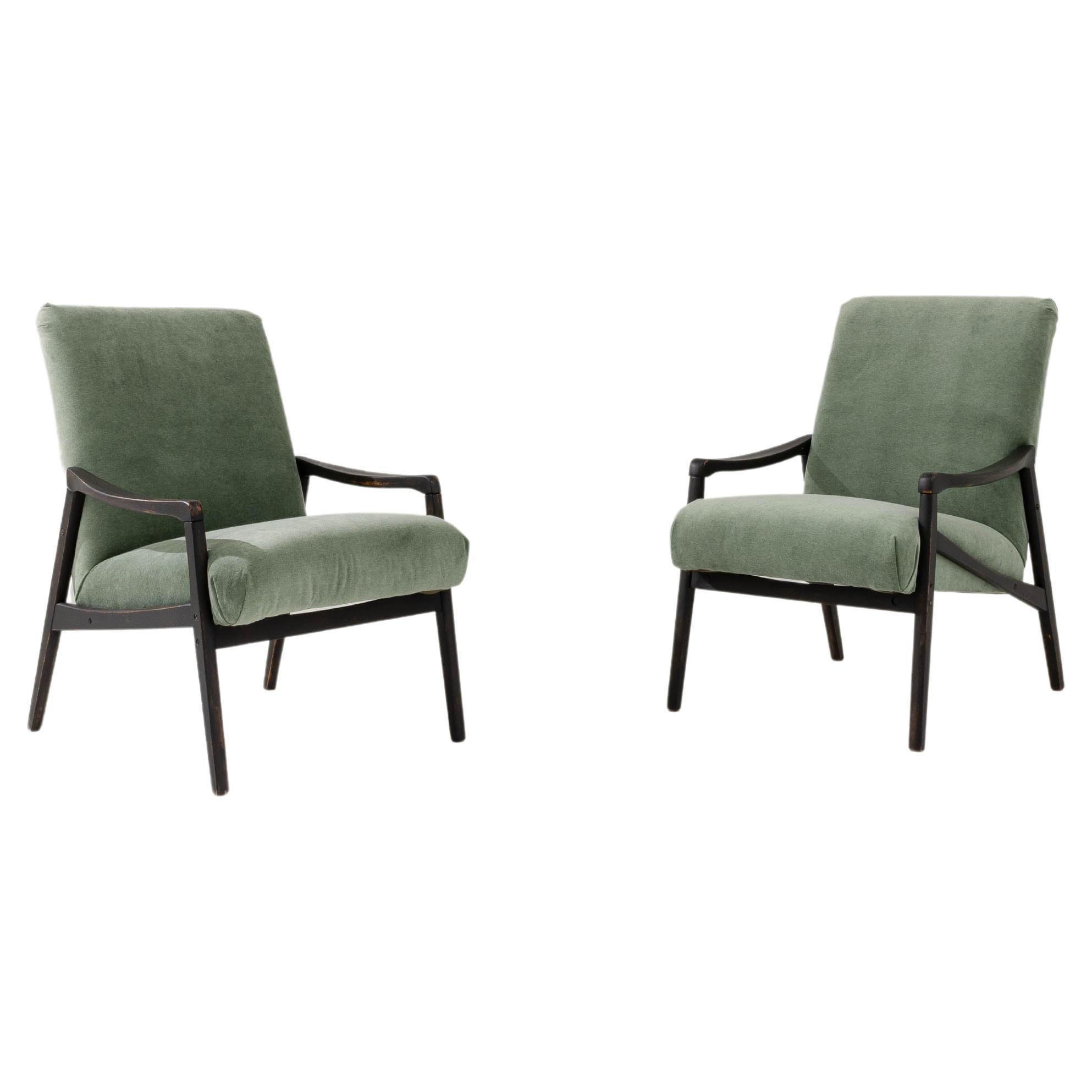 1960s Vintage Armchairs by Jiri Jiroutek, Pair