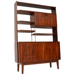 1960s Vintage Bookcase or Room Divider Cabinet