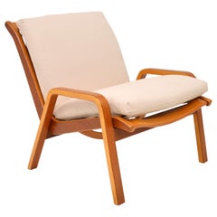 1960s Vintage Dutch Armchair by Cees Braakman for Pastoe
