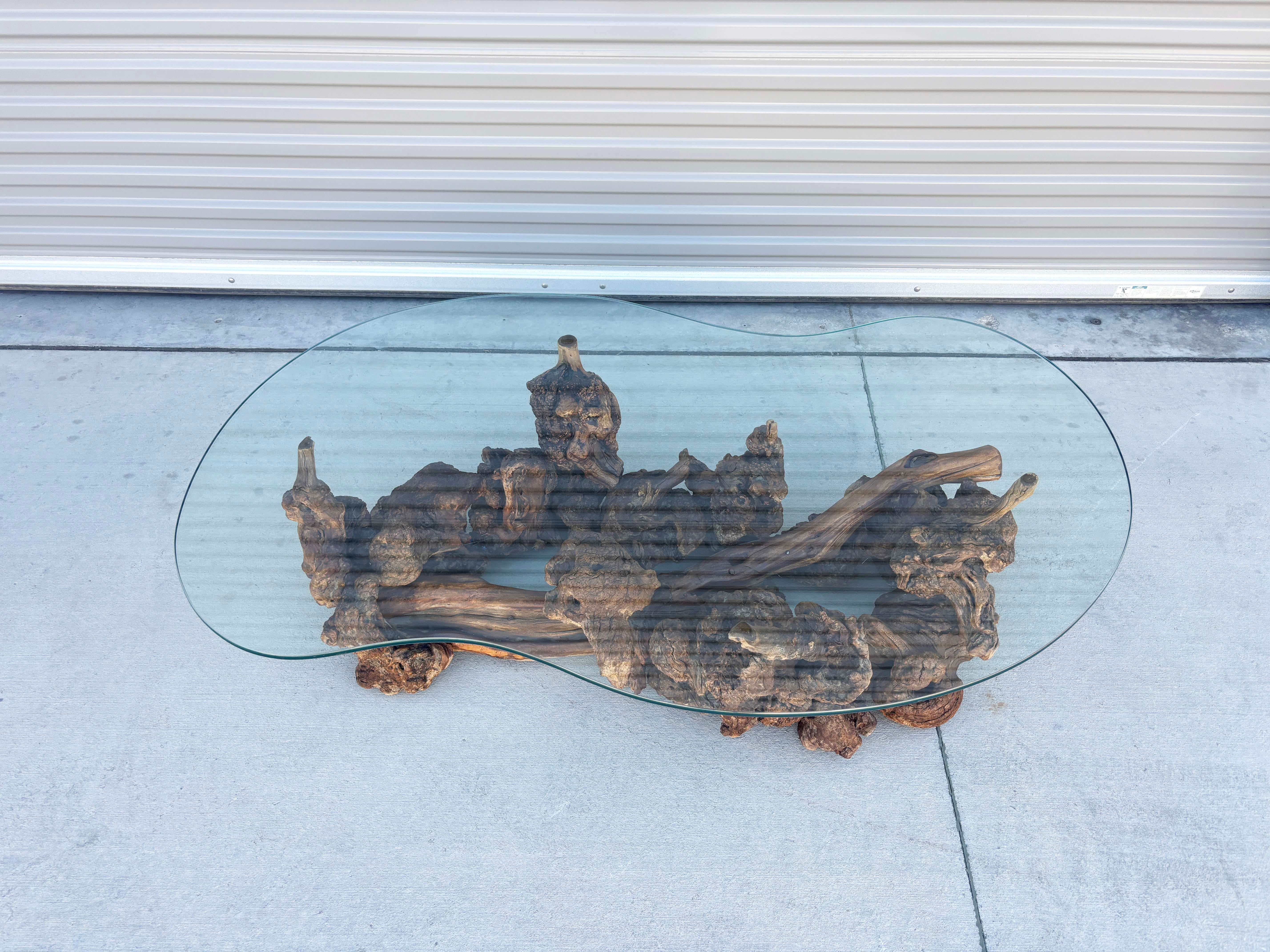 Mid-Century Modern 1960s Vintage Glass Burlwood Coffee Table For Sale