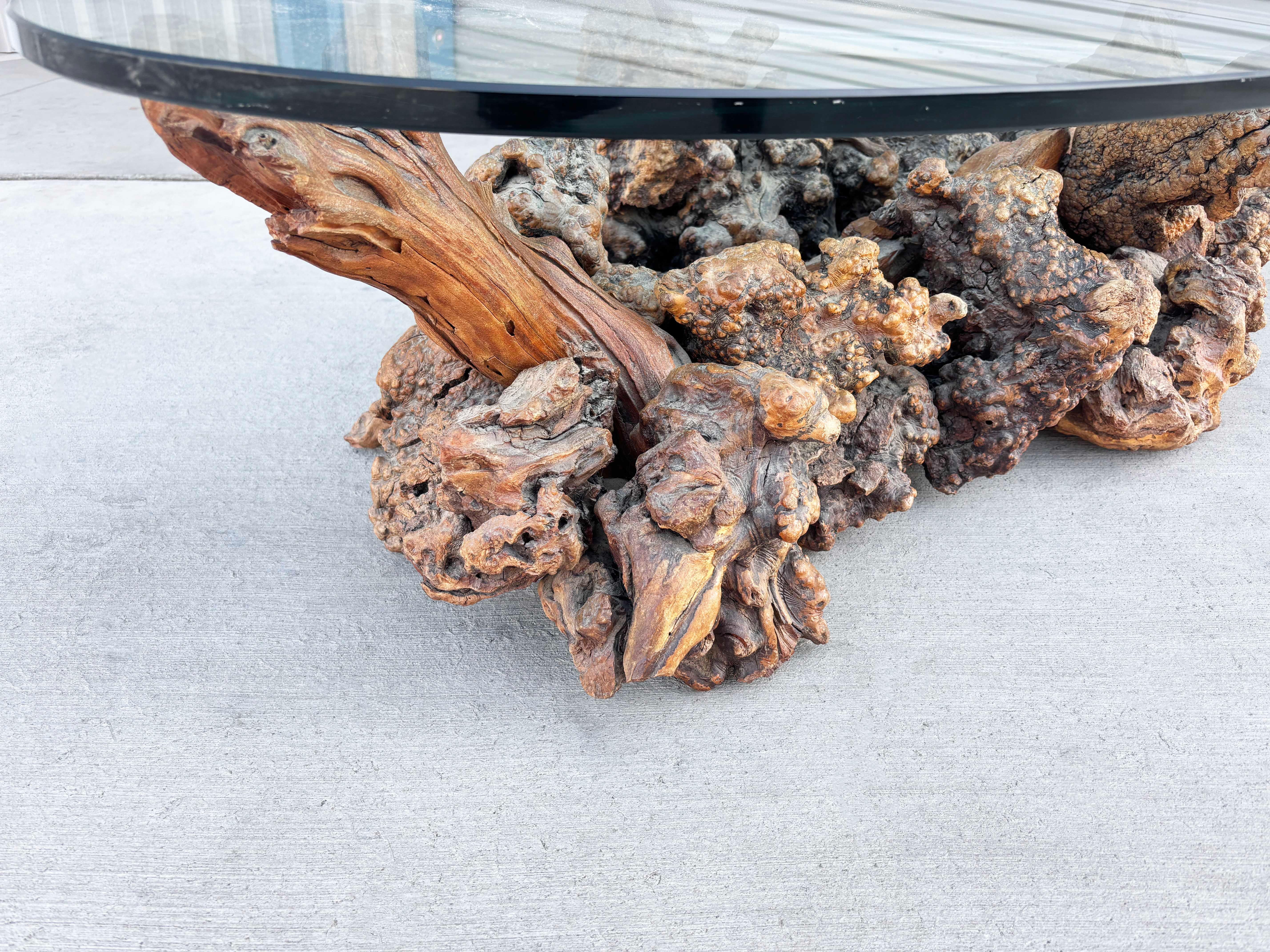 Wood 1960s Vintage Glass Burlwood Coffee Table For Sale