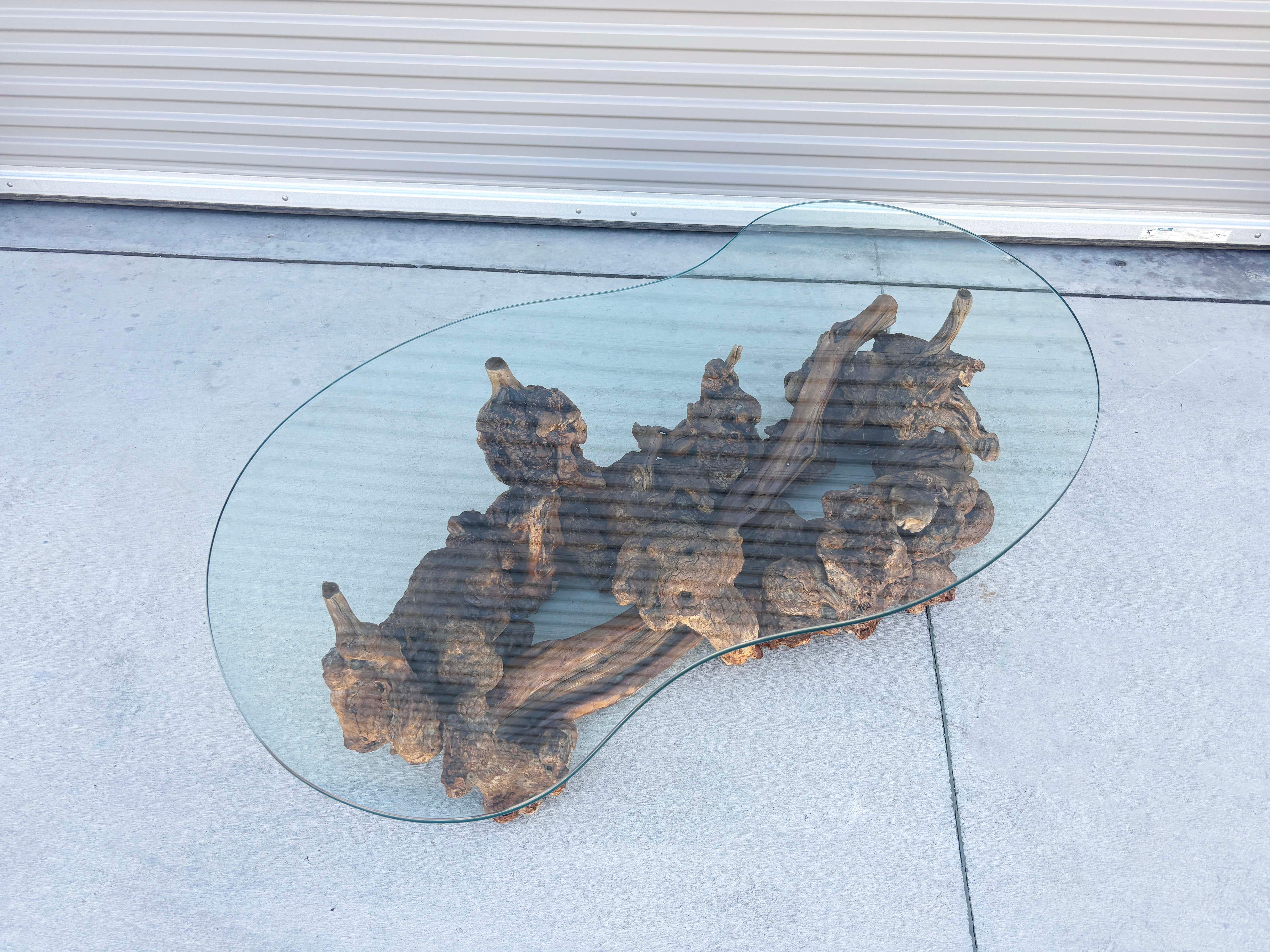 1960s Vintage Glass Burlwood Coffee Table For Sale 2