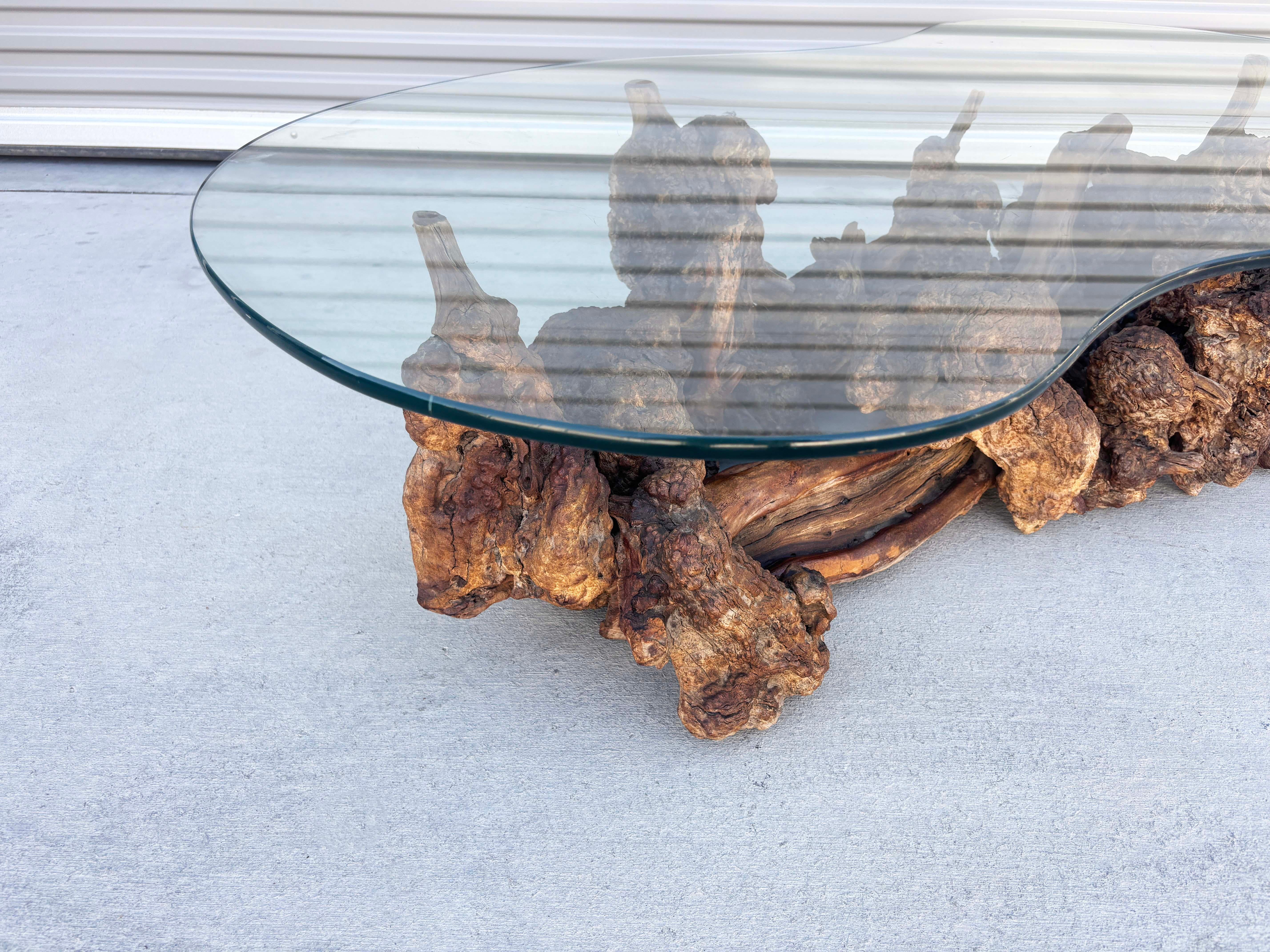 1960s Vintage Glass Burlwood Coffee Table For Sale 3