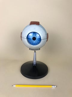 1960s Vintage Italian Anatomical Human Left Eye Model in Plastic by Paravia