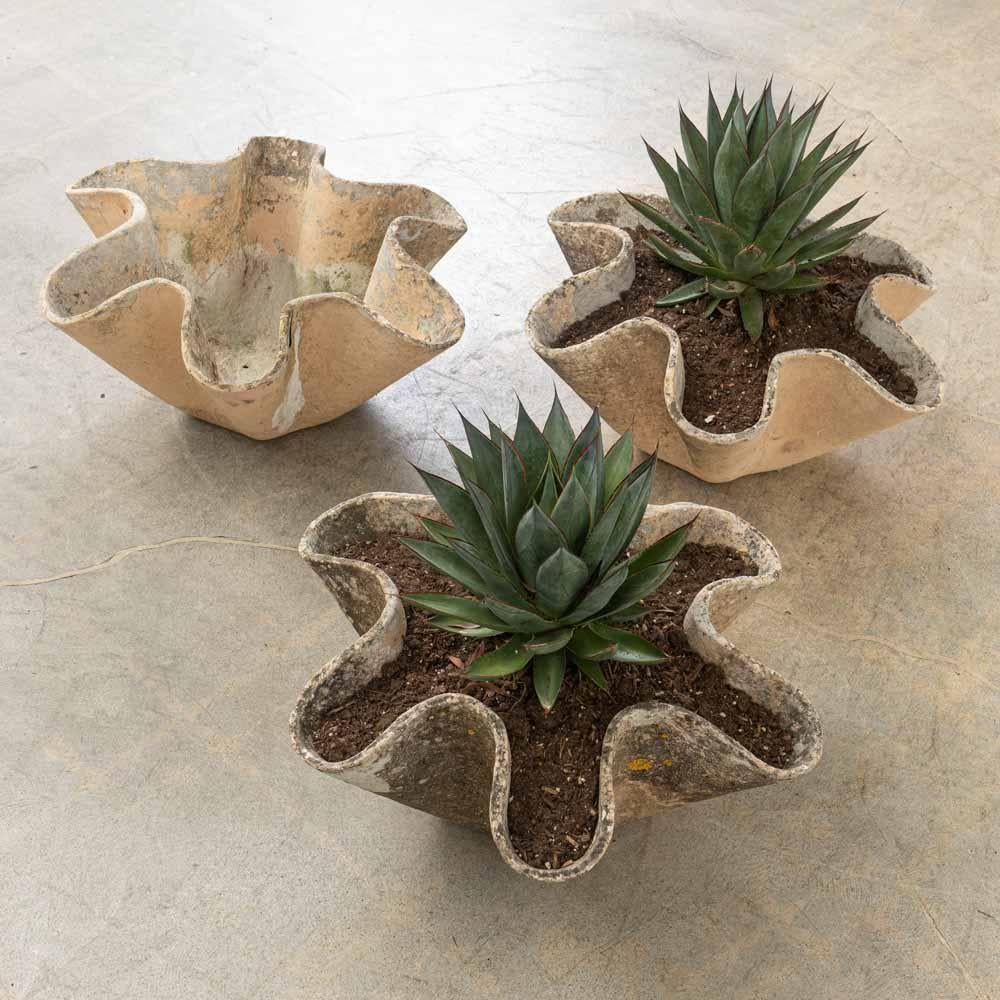 1960's Willy Guhl Clam Shell Planter For Sale 2