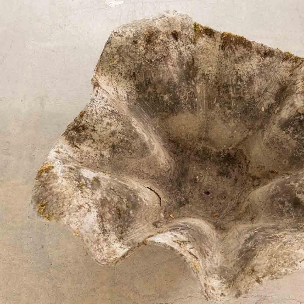Béton Jardinière mouchoir Willy Guhl en béton des années 1960 en vente