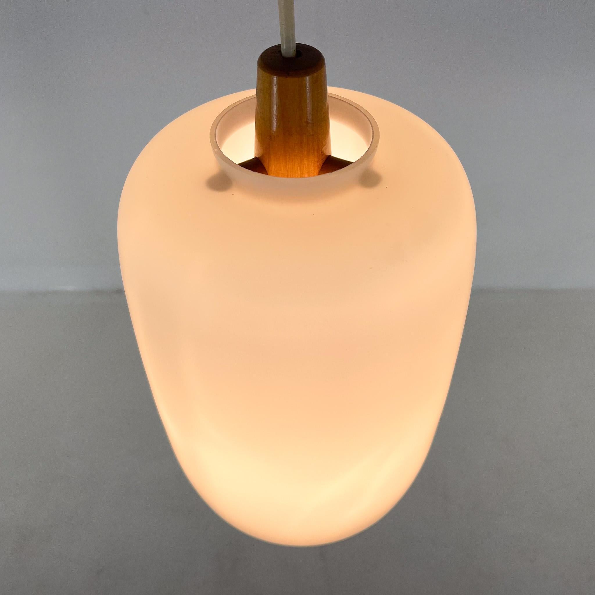 20th Century 1960s Wood and Glass Midcentury Pendant Light by ULUV, Czechoslovakia For Sale