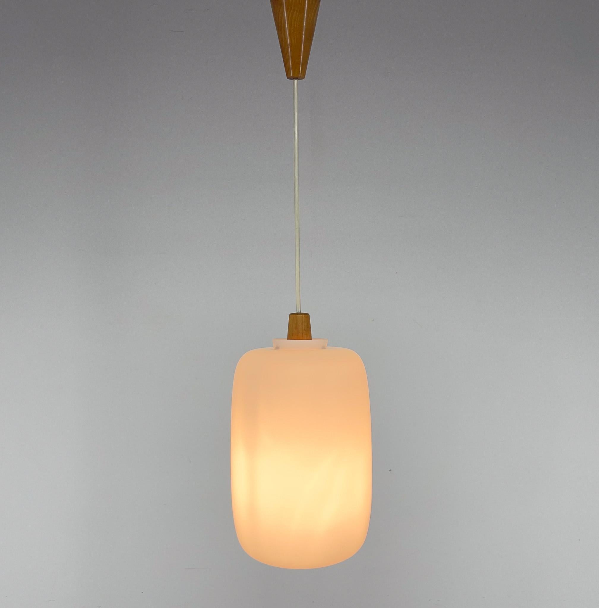 1960s Wood and Glass Midcentury Pendant Light by ULUV, Czechoslovakia For Sale 3