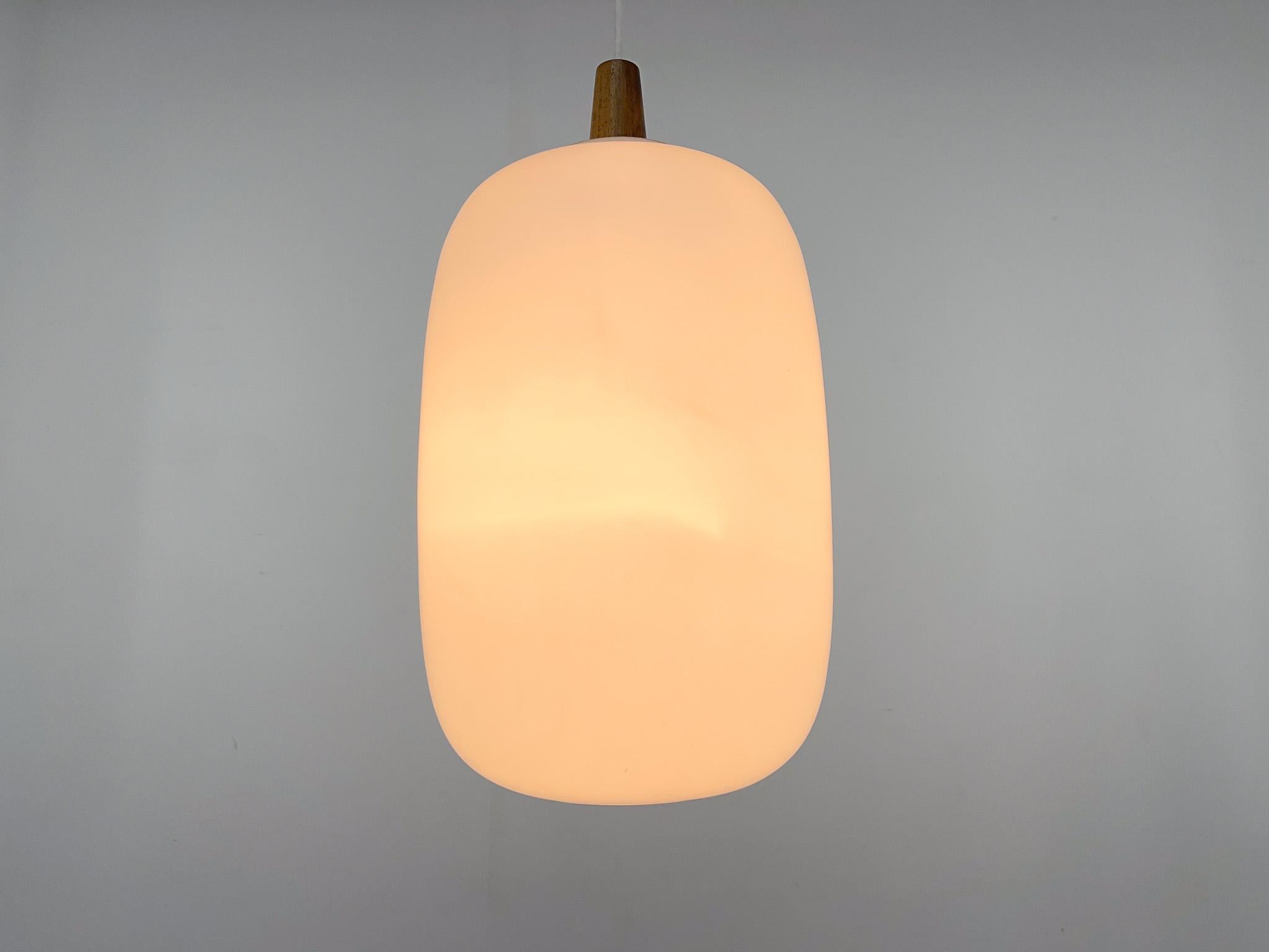 1960s Wood and Glass Pendant Light by ULUV, Czechoslovakia, Marked by Manufactur For Sale 1