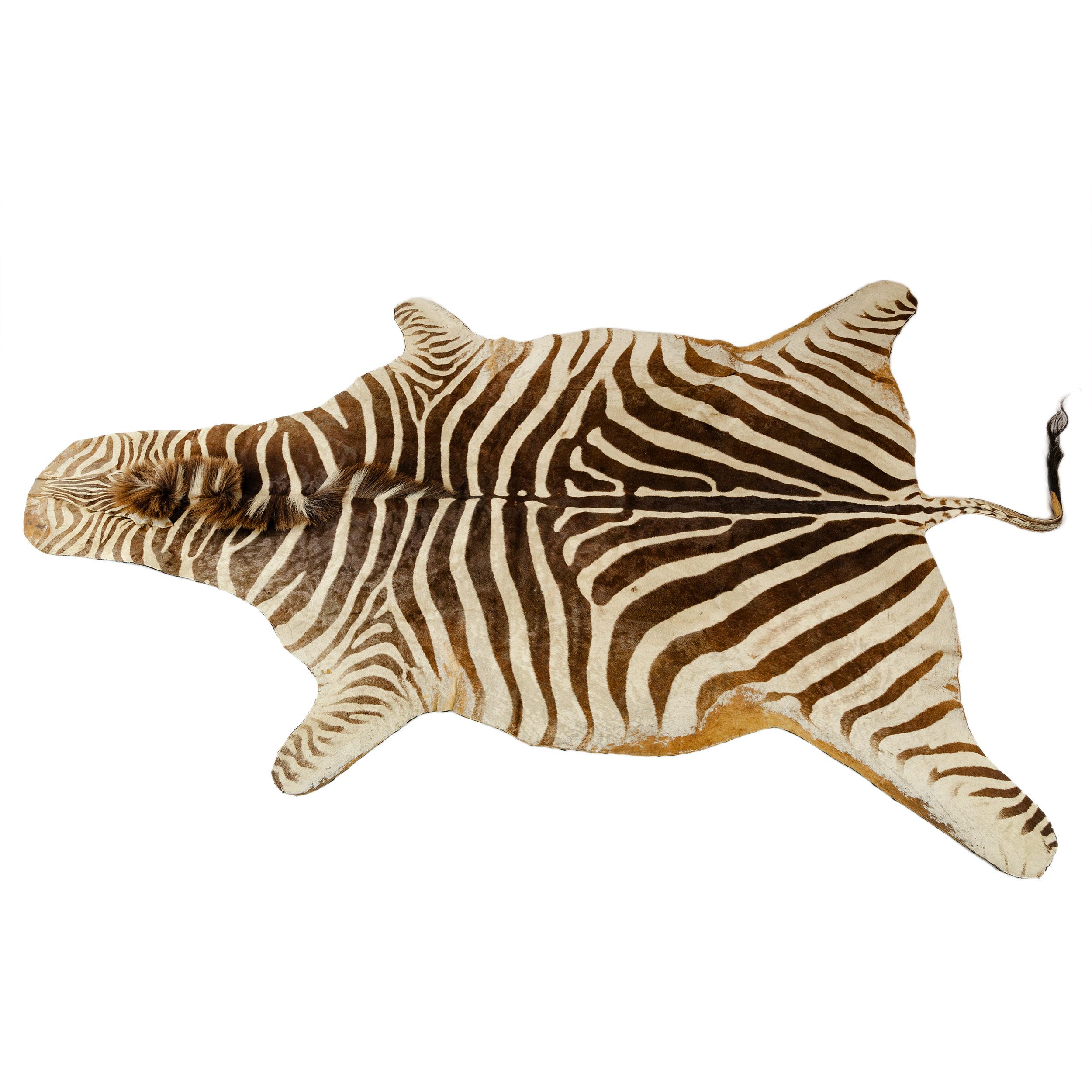 A vintage natural zebra skin rug with felt backing and stitched edge detail with great proportions and color.