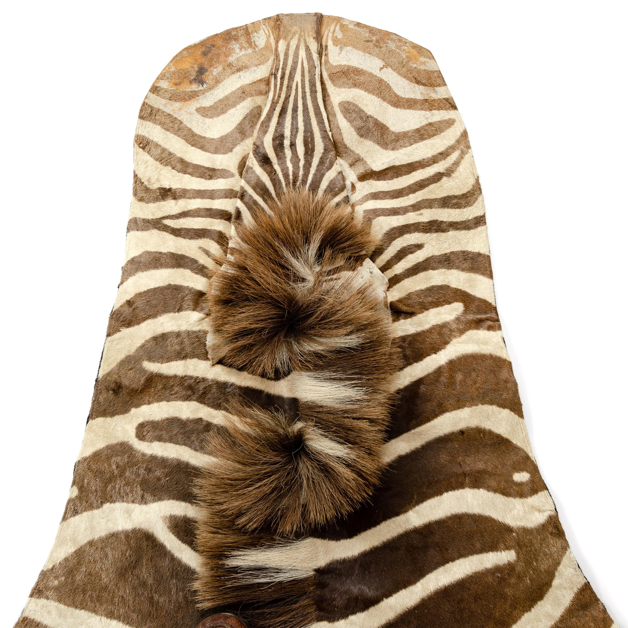 1960s Zebra Skin Rug In Good Condition In Sagaponack, NY