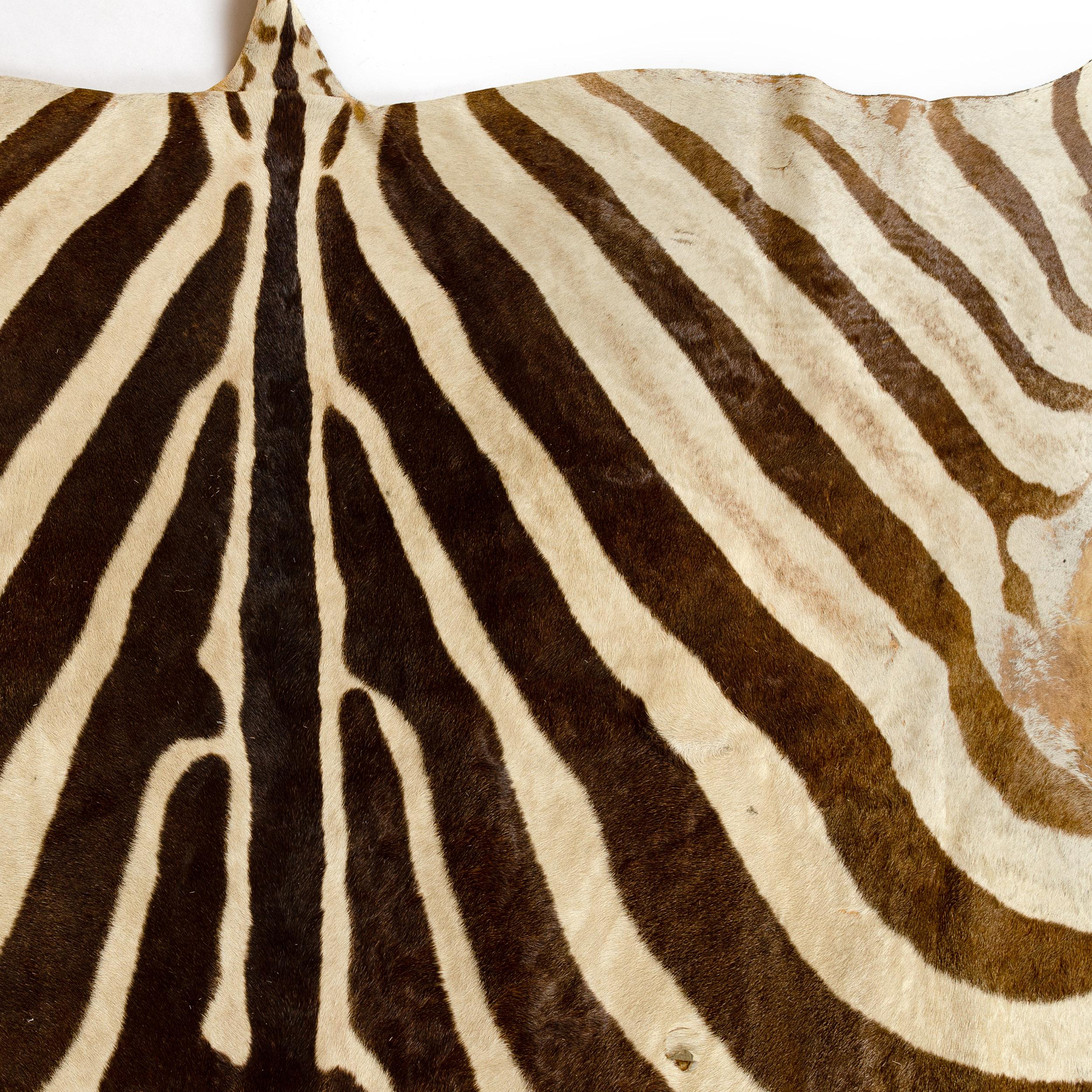 Mid-20th Century 1960s Zebra Skin Rug