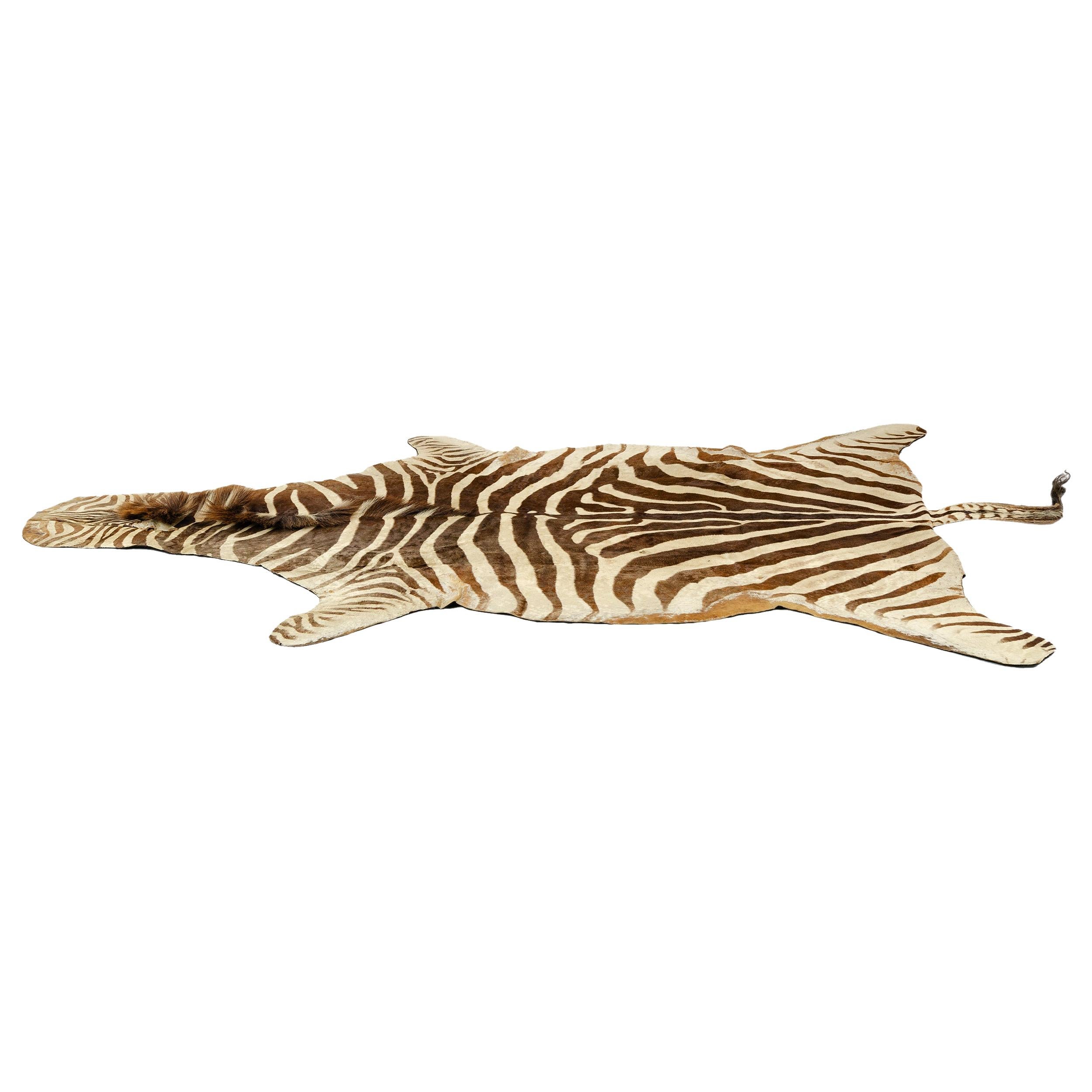 1960s Zebra Skin Rug