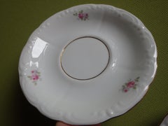 1960thies BAVARIA teaset for 6 cups and plates and tea pot with charming flowers