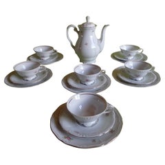 1960 BAVARIA juego de té para 6 tazas y platos y tetera con flores encantadoras