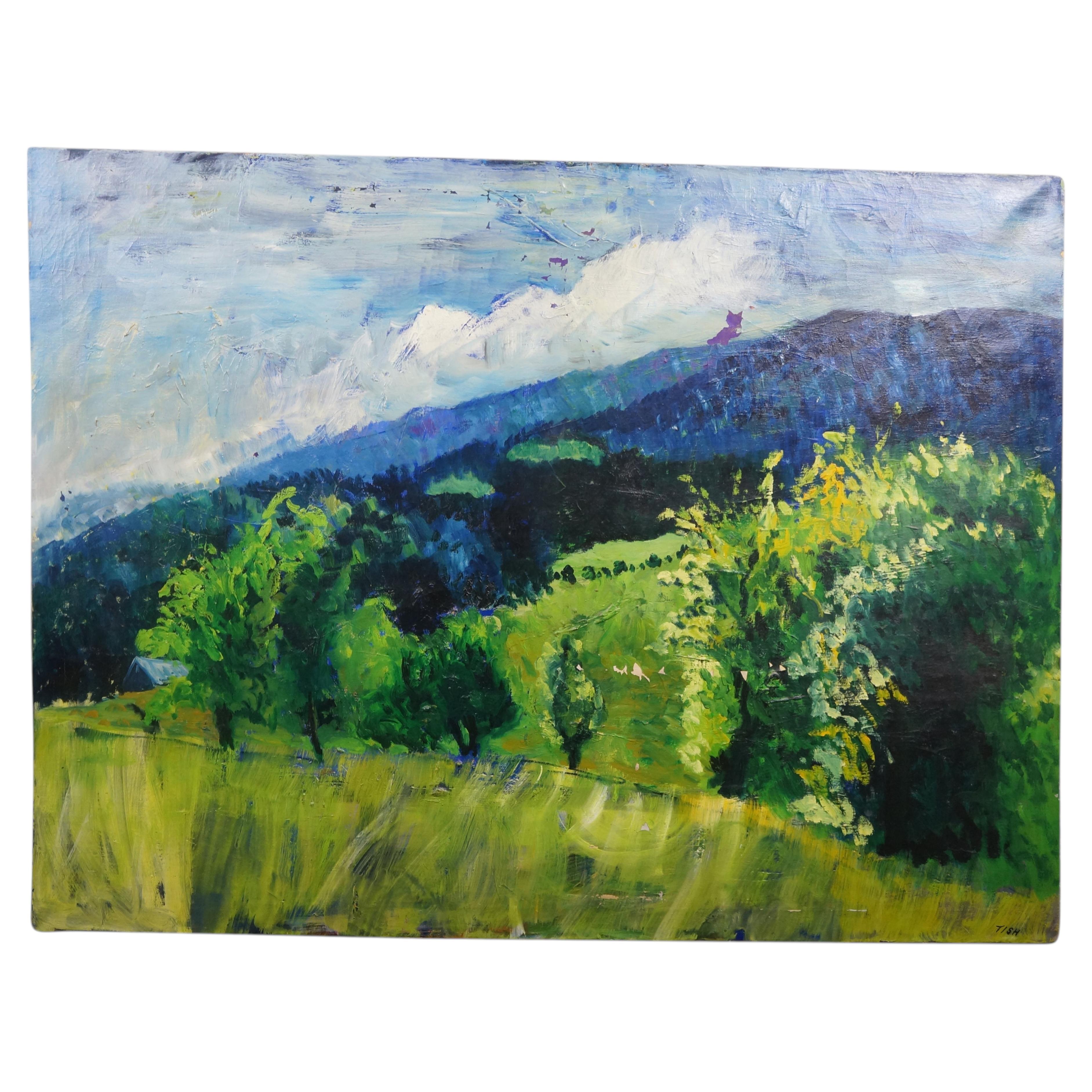 1963 Miss Lititia Thompson Blue Ridge Mountains Oil Painting 48" For Sale
