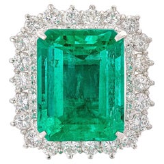 19.64 Carat Emerald-cut Statement 14K White Gold Grand Palais Radiance