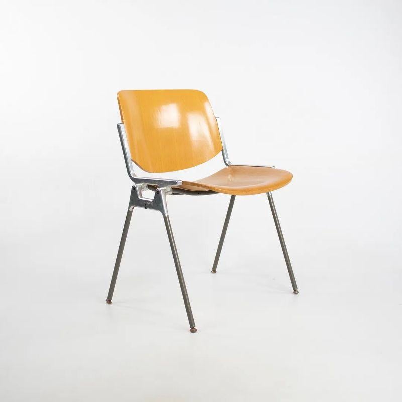 Chaises de salle à manger / chaises d'appoint empilables en chêne Giancarlo Piretti pour Castelli DSC 106, 1965 Bon état - En vente à Philadelphia, PA