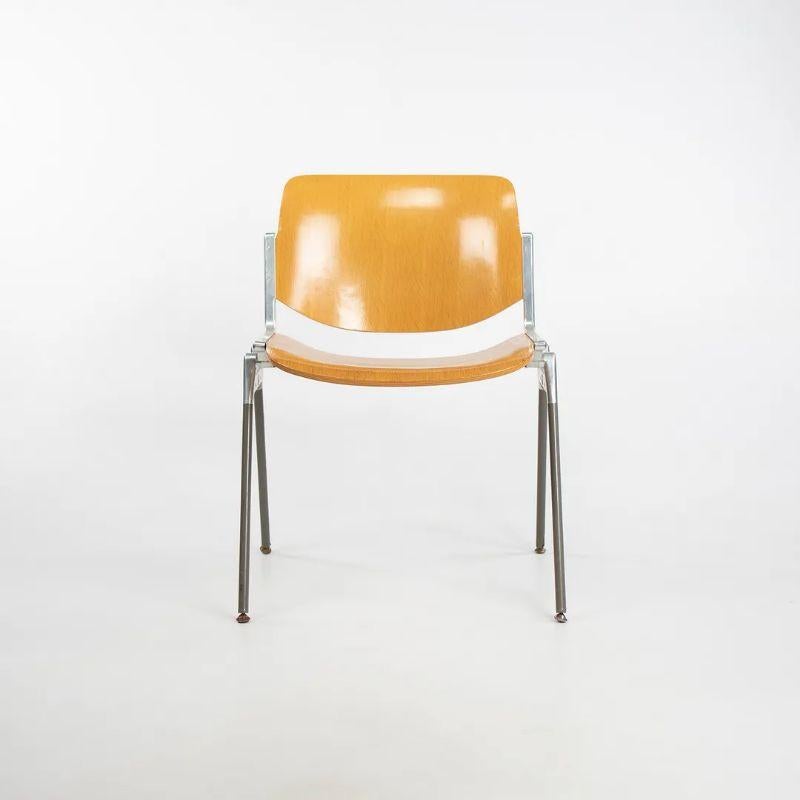 Chaises de salle à manger / chaises d'appoint empilables en chêne Giancarlo Piretti pour Castelli DSC 106, 1965 en vente 2