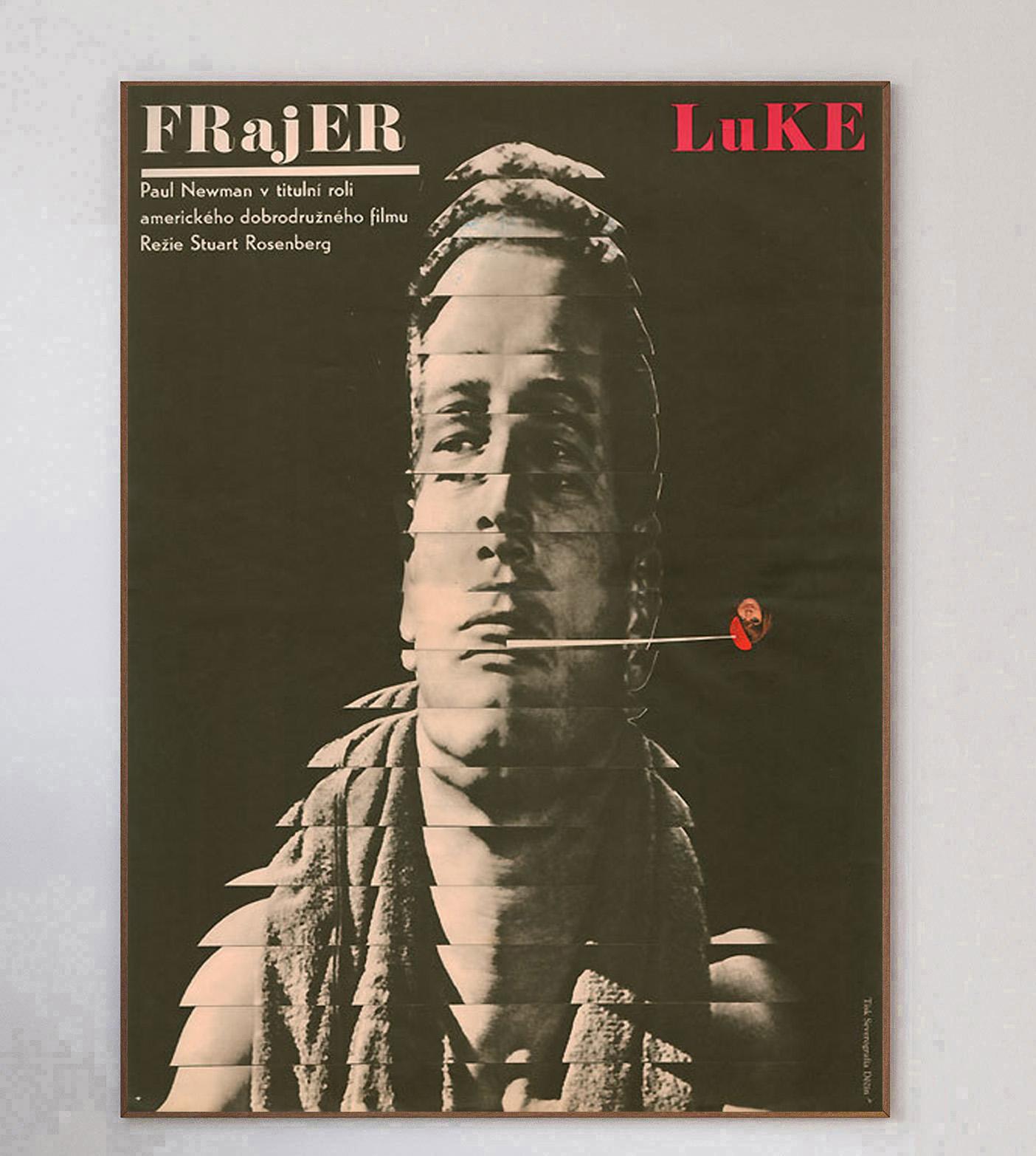 Cool Hand Luke è un film drammatico americano del 1967 diretto da Stuart Rosenberg, interpretato da Paul Newman e con George Kennedy che vinse un Oscar. Newman interpreta il ruolo principale di Luke, un prigioniero di un campo di prigionia in